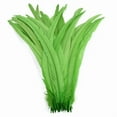 thumbnail image 1 of 100pcs 25-40cm Wholesale Rooster Feathers Wedding Crafts DIY Natural Feather Handwork Party Plume Carnival Headwear Decoration apple green 35-40cm, 1 of 6