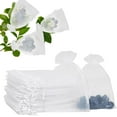 thumbnail image 1 of 100pcs 4x6inch Mesh Fruit Protection Bags, Breathable Reusable Garden Netting Bags for Fruit Trees, Anti-Pest Organza Netting Plant Cover with Drawstring (White), 1 of 12