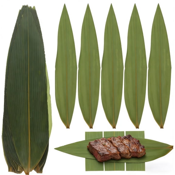 100pcs Bamboo Leaves Decorative Leaf Japanese Food Mat Sushi Rolling Machine Sashimi Decorative Leaf Sushi Decorative Grass Sashimi Decor Tableware Decor