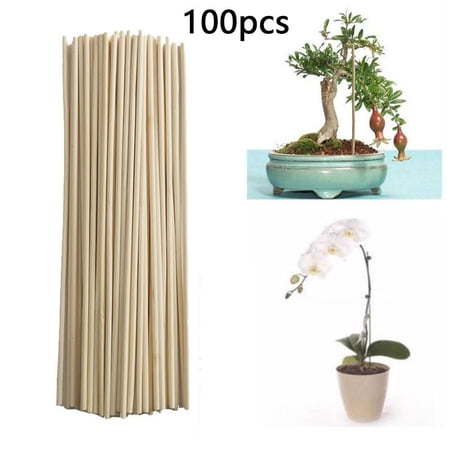 100pcs Bamboo Sticks Trellis Stakes Kit For Garden Plants Support Tomatoes Peas
