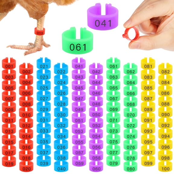 100pcs Chicken Leg Bands Adjustable Poultry Tags Durable Multi-Colored Hens Identification Leg Rings Chicken Coop Accessories for Chickens Chick Ducks Goose Turkey Birds