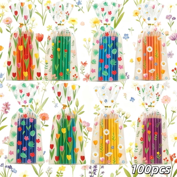 100pcs Clear Cellophane Treat Bags with Ties for Parties, Weddings, and Gifts