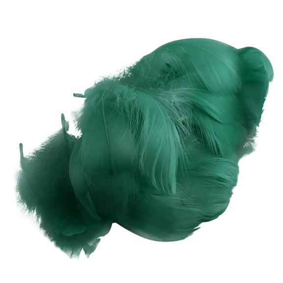 100pcs Colorful Feather Transparent Bobo-Balloons Filled Birthday Wedding Decor