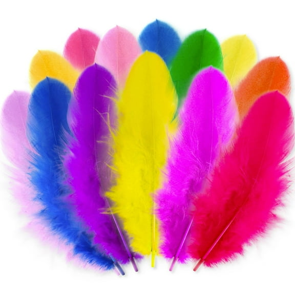 100pcs Colorful Feathers for Crafting7 inches Natural Feathers with 10 Colors DIY Crafts No-Fading for Wedding Home Party Handmade Decorations