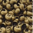 100pcs Crimp Bead Knot Cover Loose Beads 6mm (0.24 Inch) Antique Bronze