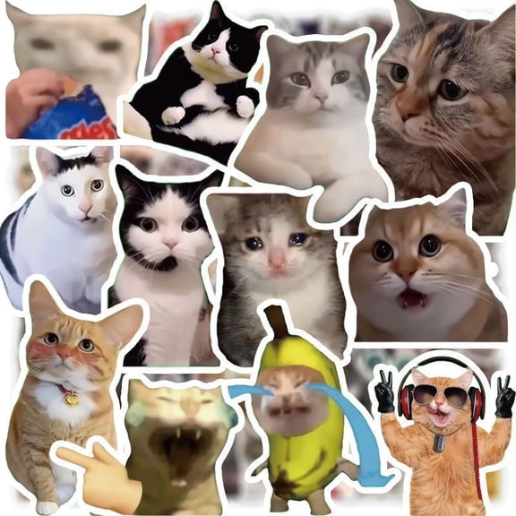 100pcs Cute and Funny Cat Sticker Pack - Trendy Instagram-Style Memes for Laptops, Suitcases, Computers, Chairs, Walls, Cabinets
