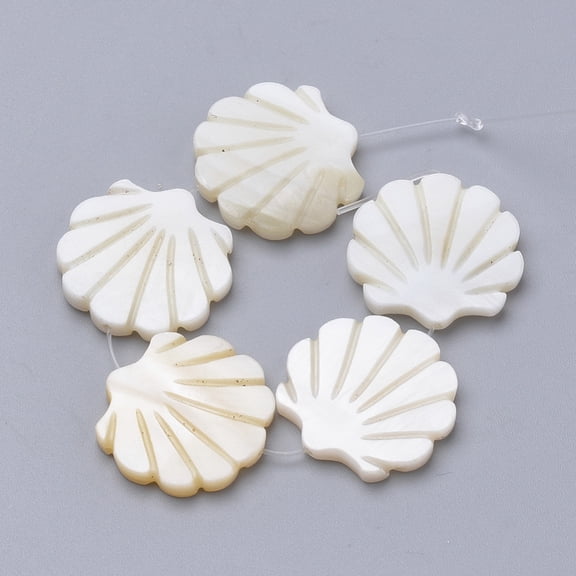 100pcs Freshwater Shell Beads Scallop Shape Creamy White 15x15.5x2.5mm Hole: 1mm