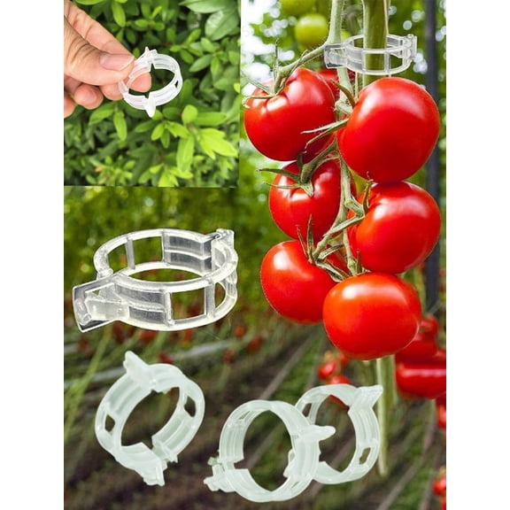 100pcs Green Plant Support Clips, Reusable Vine & Tomato Clips for Securing Seedlings to Trellis, Garden Vegetable Fixing Clips for Healthier Growth