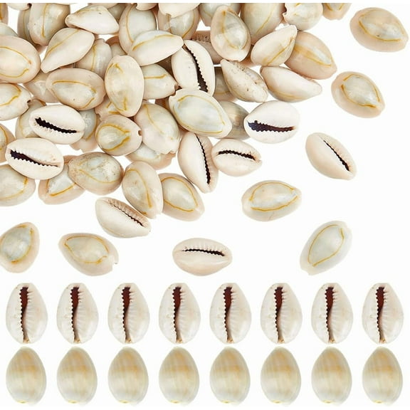 100pcs Natural Cowrie Seashells 20mm Ring Top Cowrie Shell Ocean Beach Shells Small Craft Cowries Ornament for DIY Craft Summer Party Table Hat Costume Decoration 250g