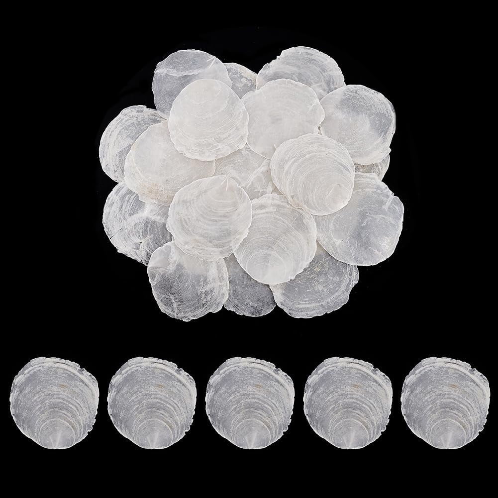 100pcs Undrilled Capiz Shells 2~3.5 inch Large Shells Natural Capiz Sea ...