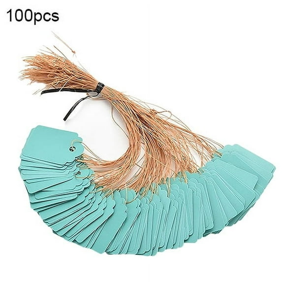 100pcs Waterproof Tags with String, Plastic Reusable Plant Labels Hanging Marking Tags for Gardening Jewelry Clothing Gardening Labels Signs Plant Hanging Tags
