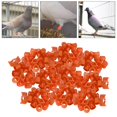 thumbnail image 1 of 100x Reusable Birds Foot Bands Leg Rings Racing Tags Numbered Training Identify Tool for Small Poultry, , Finch, Parrots , Orange, 1 of 8