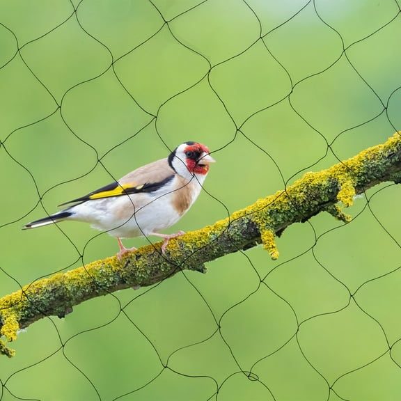 100x50FT Heavy Duty Nylon Bird Netting 2" Mesh Garden Barrier Net for Poultry, Aviary, Sports, Golf, Soccer, Home Dcor & Crop Protection