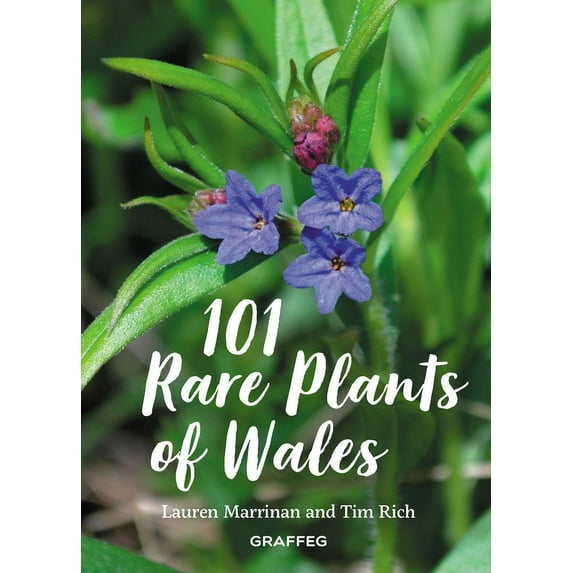 101 Rare Plants of Wales (Hardcover)