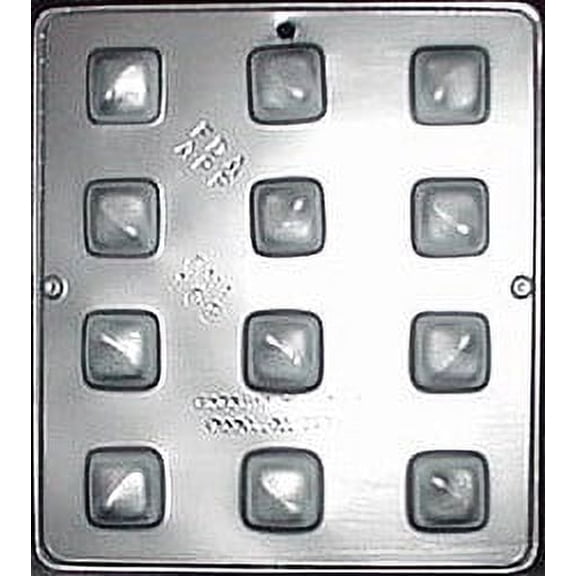 Candy Molds N More 12 Cavity Plastic Chocolate Candy Mold