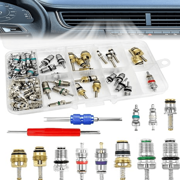 102-Pc A/C Valve Core Replacement Kit with Tools - for R12 & R134a Car Air Conditioning Systems
