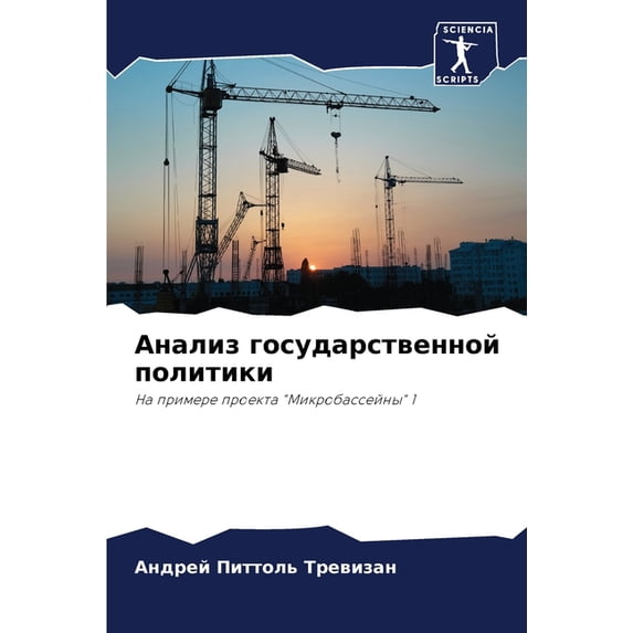 Анализ государственной политик&#