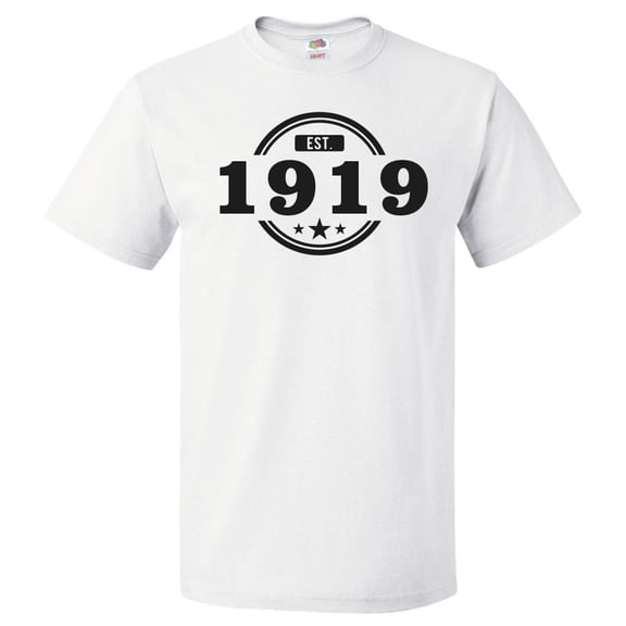 107th Birthday Gift For 107 Year Old Established 1919 T Shirt