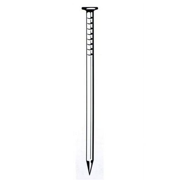 10D 3in. Hot Galvanized Box Nails