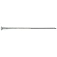 thumbnail image 1 of 10D Fire Door Clinch Nail, 50 lbs, 1 of 1