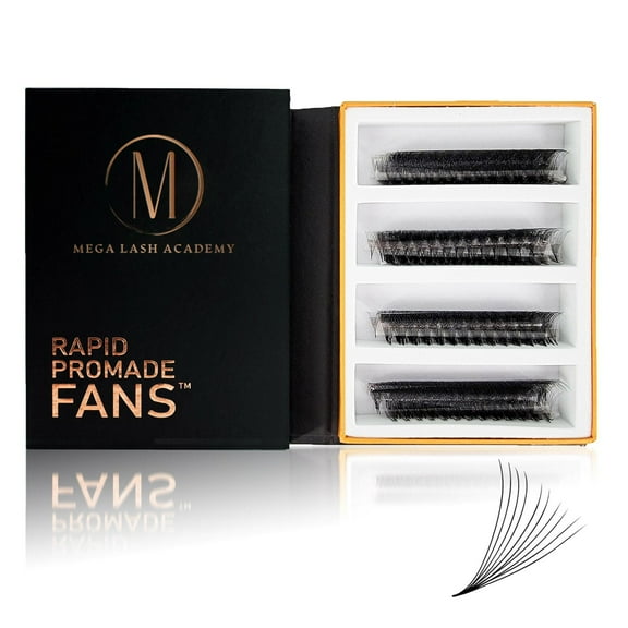 10D Rapid Promade Fans® - 1000 Fans - CC Curl