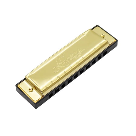 10Hole Blues Harmonica Golden Cover With Padded Carrying Case Cleaning Cloth