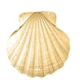 thumbnail image 1 of 10K Yellow Gold Shell Pendant - 41 mm, 1 of 2