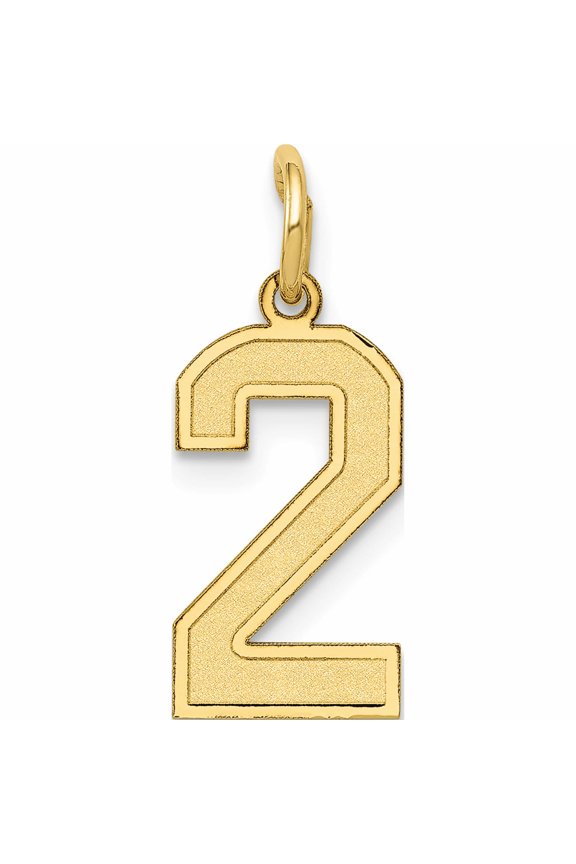 10K Yellow Gold Small Satin Number 2 Charm