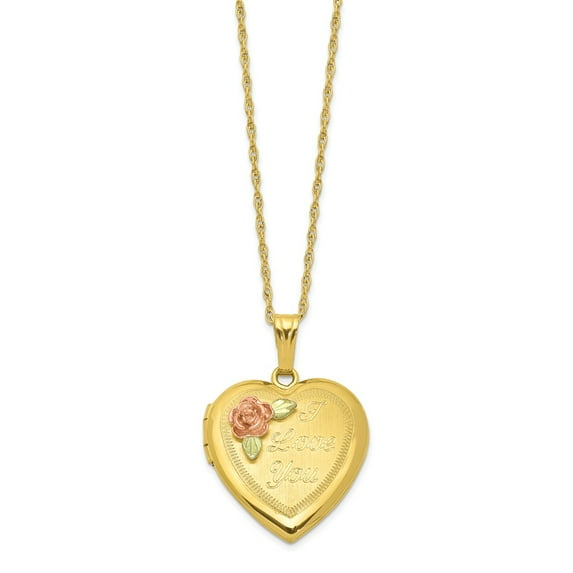 10K Yellow Gold necklace with pendant 14k Gold-filled with 12k Accents Black Hills Locket