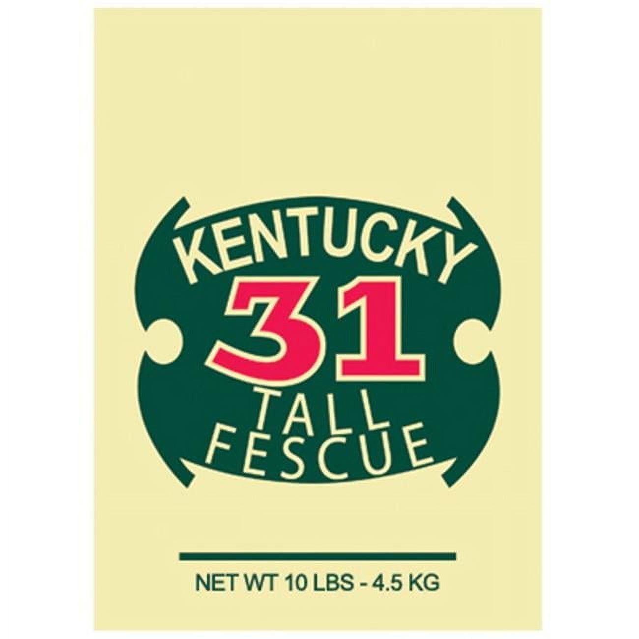 10LB Ky31 Grass Seed