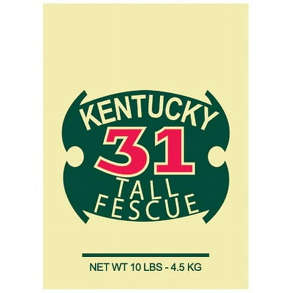 10LB Ky31 Grass Seed