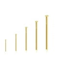 thumbnail image 1 of 10PCS 0.8" Woodworking Nails – Round Iron Wall Nails Assorted Brass Finish Nails Set Multiple Sizes Flat Head Smooth Shank for Woodworking Home Improvement DIY Projects, 1 of 4