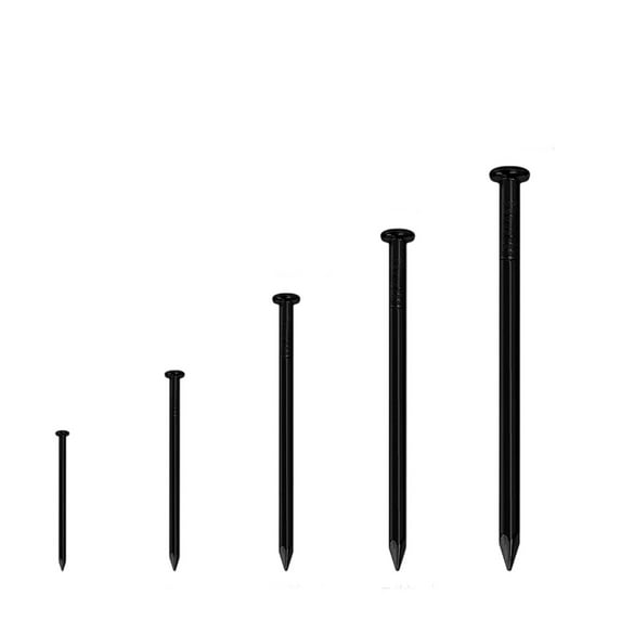 10PCS 1.2" Steel Round Head Nails Variety Pack Assorted Sizes for Woodworking Construction and Carpentry Projects Multipurpose Use