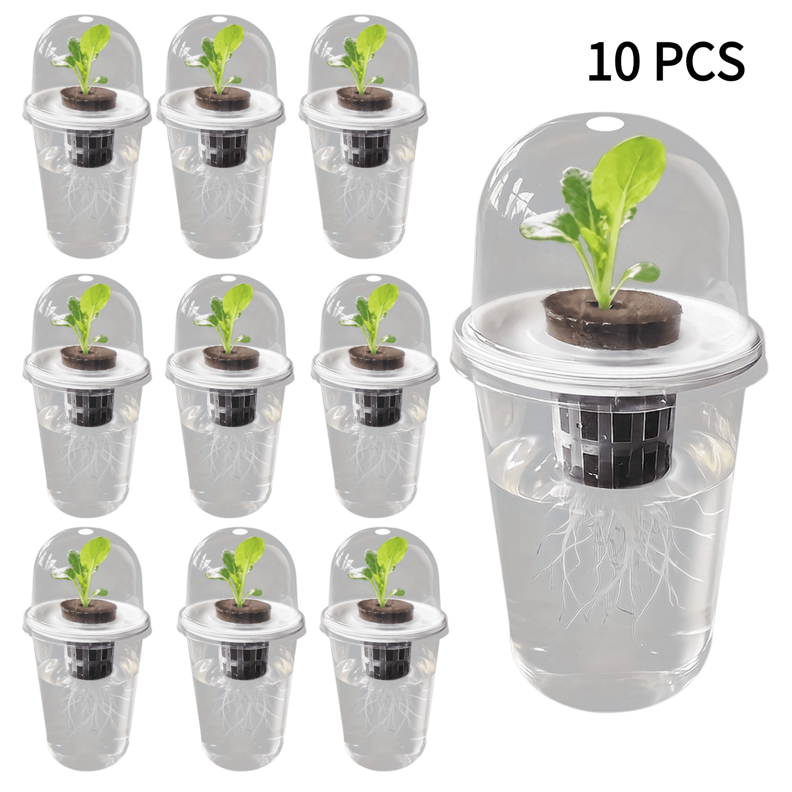 10PCS 5-in-1 Hydroponic Seed Pot Kit, Complete Growing System with Transparent Cylindrical Container, Indoor Plant Starter for Herbs, Lettuce & Vegetables