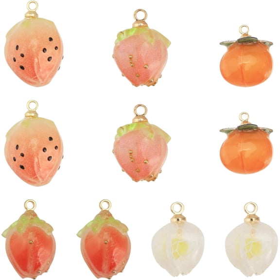 10PCS 5Styles Acrylic Fruits Charms Pendants Acrylic 3D Strawberry Charms Pendants Persimmon Physalis Peruviana Strawberry with Alloy Loops for Jewelry Earrings Necklaces DIY 1box