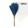 thumbnail image 1 of 10PCS Artificial Pampas Grass Decor – 21.65" Fluffy Bohemian Reed Stems for Wedding, Home, Vase Arrangement (Hypoallergenic, No Shedding), 1 of 5