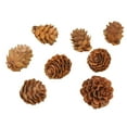 10PCS Christmas Natural Pinecones For Crafts Assortment Rustic For