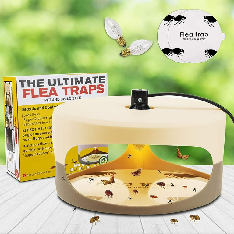 10PCS Disposable Sticker Trapest Sticky Dome Flea Trap Refill For Victor Trap Usa