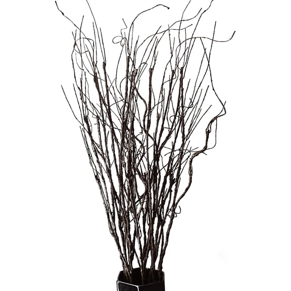 10PCS Lifelike Curly Willow Branches Decorative Dried Artificial Twigs, 30.7 Inches Fake Bendable Sticks Vintage Vines/Stems DIY Greenery Plants Craft Vases Home Garden Hotel Farmhouse Decor