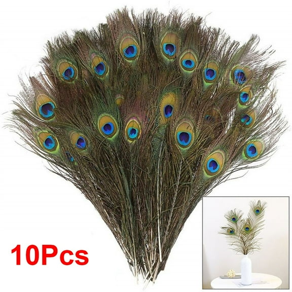 10PCS Natural Peacock Feather for House DIY Craft Holiday Wedding Decorations