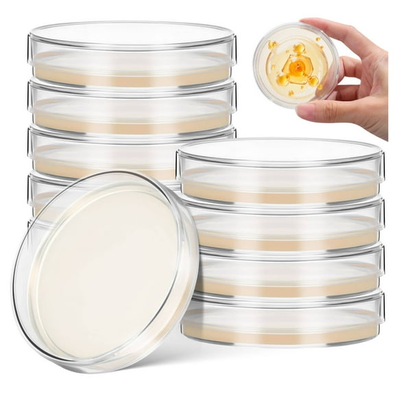 10PCS Petri Dish Nutrient Agar Petri Dishes Science Project Kit, Pre-Poured Agar Plates, Agar Plates Prepoured Supplies