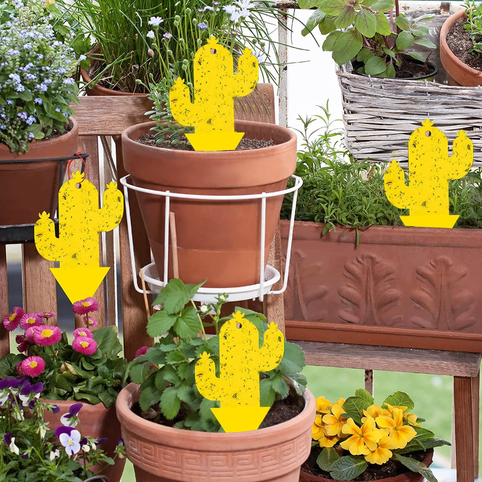 10PCS Yellow Cactus Armyworm Board Fruit Fly Viscose Board Worm Trap