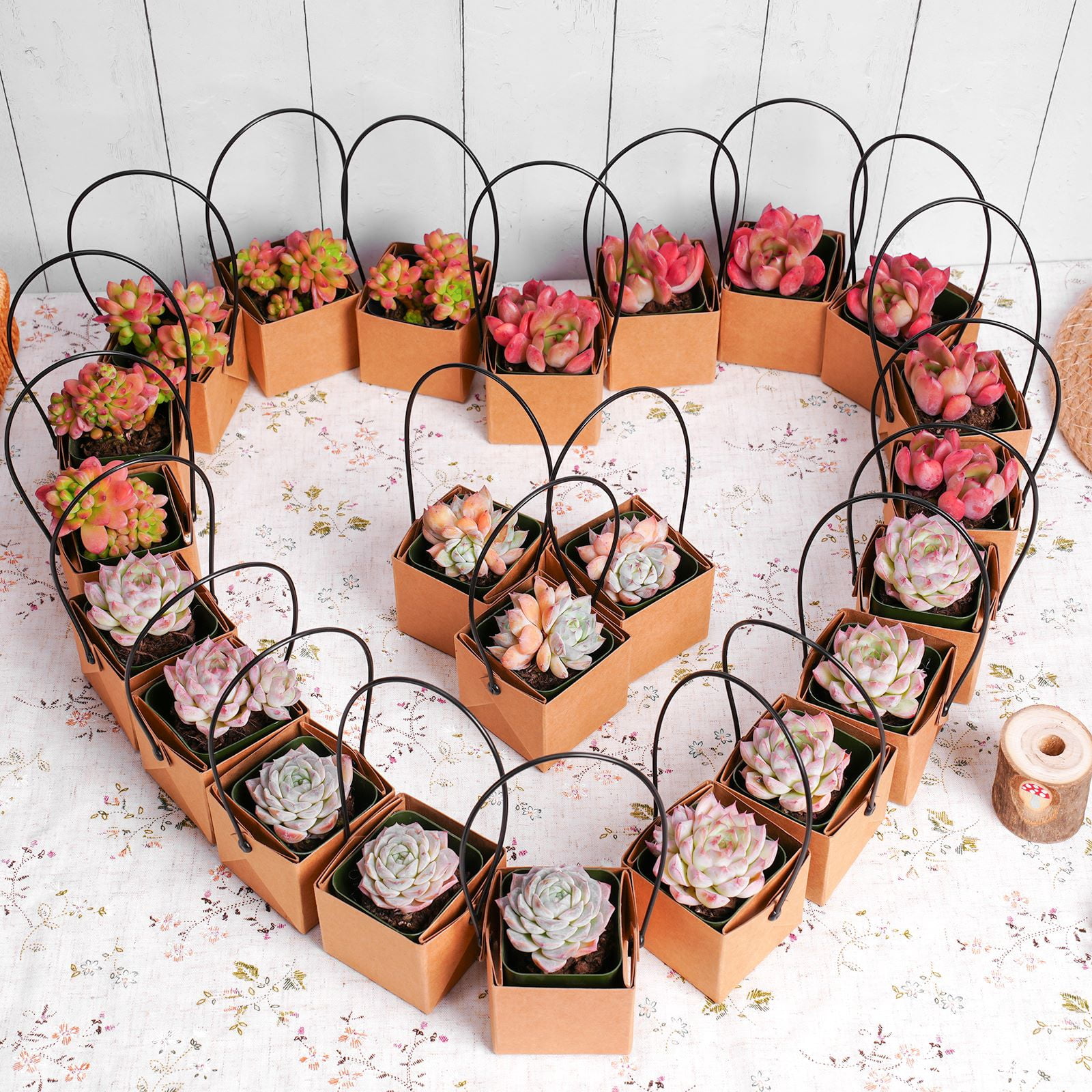 10Pack Kraft Paper Live Succulent Plant Favors for Wedding Baby Shower  Bridal Party Gift with Assorted Live Succulents and Hanging Bags -  Walmart.com