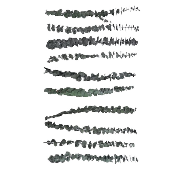 10Pack Natural Dried Eucalyptus Bundle,Preserved Fresh Eucalyptus Branches for Flower Arrangements Wedding Home Decor