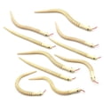 thumbnail image 1 of 10Pcs 12 Inch Unfinished Wooden Wiggly Snakes Jointed Flexible Wooden Snake Blank Animal Model Crafts Toys for Arts, 1 of 8