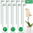 thumbnail image 1 of 10Pcs 16in Plant Support Stakes Garden Flower Single Stem Support Stake Iron Plant Cage Support Ring For Tomatoes Orchid Lily Peony Rose Flower Amaryllis Iris Stem, 1 of 8