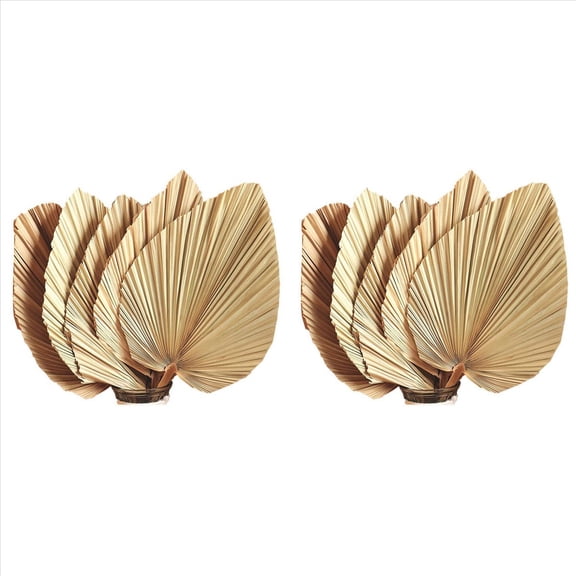 10Pcs 18 Inch Natural Trimmed Palm Spear Tropical Palm Leaves Fans Boho Wedding Decor Hawaiian Decoration,10 x heart of palm canned