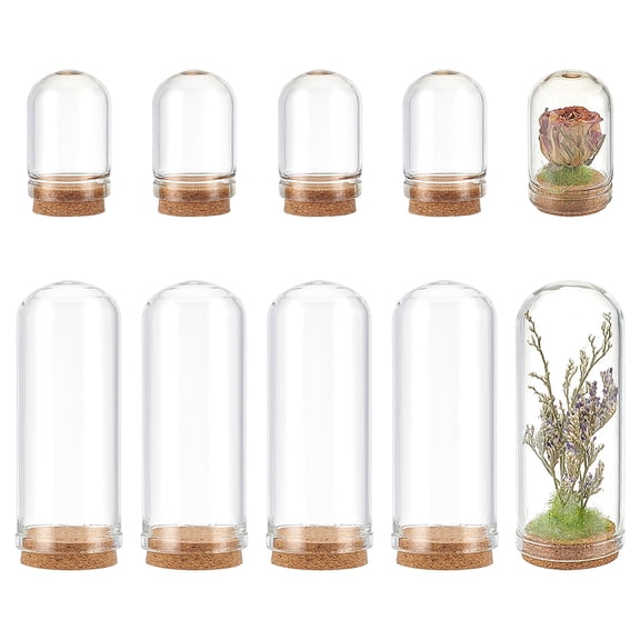 10Pcs 2 Styles Glass Dome Cloche Cover Bell Jar with Cork Base For House Container Dried Flower Display Decoration Clear