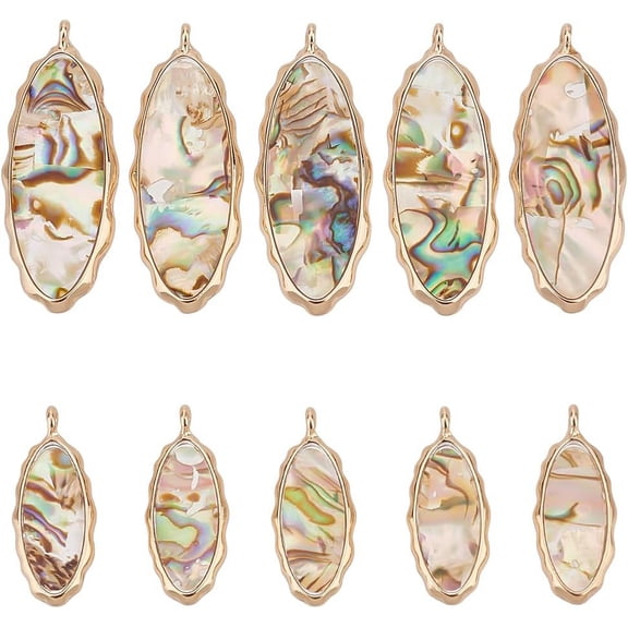 10Pcs 2 Styles Resin Abalone Paua Shell Pendants Horse Eye Charms with Alloy Findings Colorful Light Gold 23.5~37.5x9.5~14.5x2~3mm for DIY