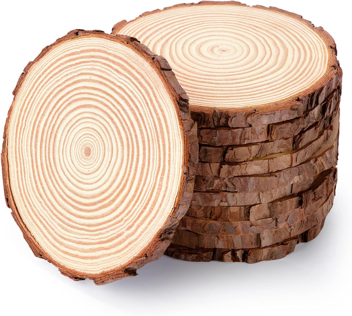  Set of 10 Wood Slices for centerpieces! Wood Slice  centerpieces, Wood Rounds, Tree Slices (10 inch)